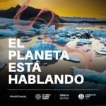 Celebramos el Día Mundial del Medio Ambiente