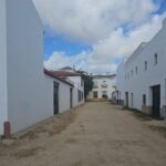 Azsuma gestiona más de 1.000 toneladas de residuos durante el dispositivo especial de la Venida de la Virgen del Rocío